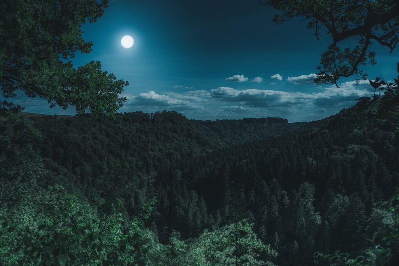 Celestial Beauty